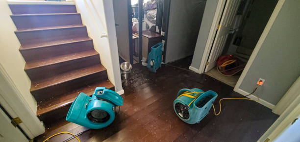 Best Local water damage restoration  in Emmett, ID
