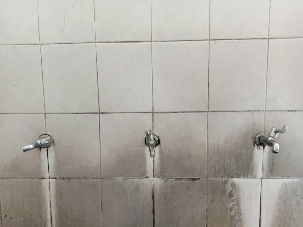  Emmett, ID Water damage restoration Pros